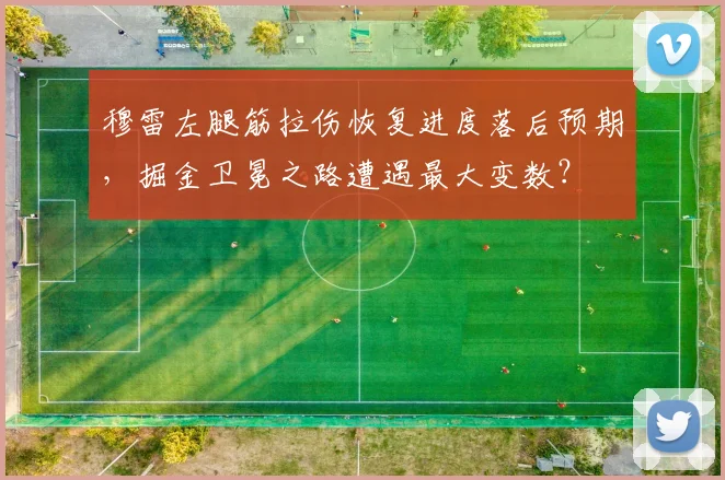 穆雷左腿筋拉伤恢复进度落后预期，掘金卫冕之路遭遇最大变数？